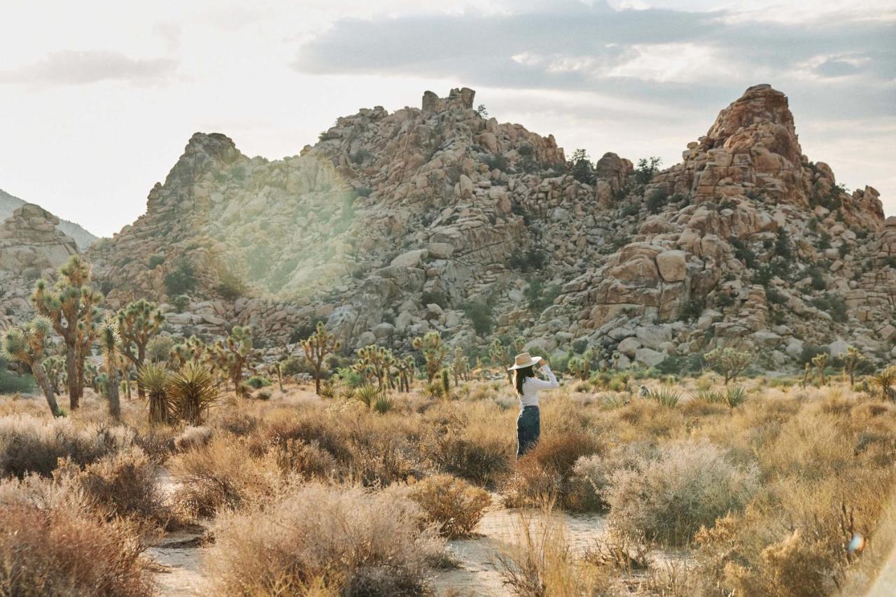 Hotel Field Station Joshua Tree Yucca Valley Exterior foto